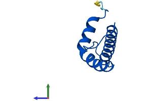 AlphaFold protein structure predicition of Mouse Recombinant Cenpw Protein, UniprotID Q3URR0