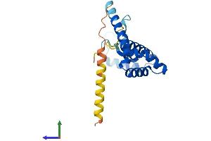 AlphaFold protein structure predicition of Mouse Recombinant Hmgb3 Protein, UniprotID O54879