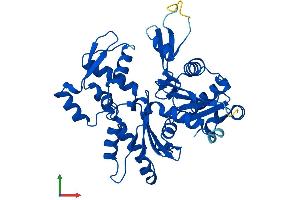 AlphaFold protein structure predicition of Human Recombinant ACTB Protein, UniprotID P60709