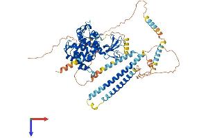 AlphaFold protein structure predicition of Mouse Recombinant Dtnb Protein, UniprotID O70585