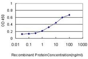 Detection limit for recombinant GST tagged RAB43 is approximately 0.