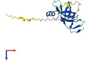 AlphaFold protein structure predicition of Mouse Recombinant Csdc2 Protein, UniprotID Q91YQ3