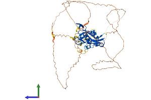 AlphaFold protein structure predicition of Human Recombinant TBX22 Protein, UniprotID Q9Y458