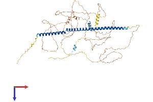 AlphaFold protein structure predicition of Mouse Recombinant Kiz Protein, UniprotID Q3UXL4