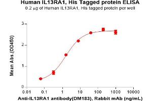 ELISA plate pre-coated by 2 μg/mL (100 μL/well) Human IL13RA1 Protein, His Tag(ABIN6964113, ABIN7042481 and ABIN7042482) can bind Anti-IL13RA1 antibody(DM183), Rabbit mAb in a linear range of 0.