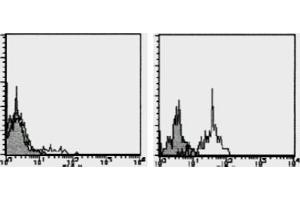 Flow Cytometry (FACS) image for anti-Chemokine (C-C Motif) Receptor 1 (CCR1) antibody (PE) (ABIN1105988) (CCR1 anticorps  (PE))