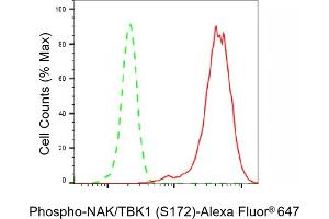 Flow cytometric analysis of Phospho-NAK/TBK1 (S172) expression in HepG2 cells using Phospho-NAK/TBK1 (S172) antibody (ABIN7800504), 1:2,000). (Recombinant TBK1 anticorps  (pSer172))