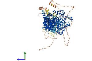 AlphaFold protein structure predicition of Mouse Recombinant Oga Protein, UniprotID Q9EQQ9