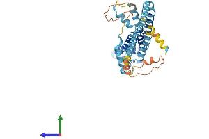 AlphaFold protein structure predicition of Mouse Recombinant Calhm1 Protein, UniprotID D3Z291