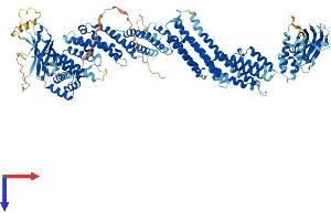 AlphaFold protein structure predicition of Human Recombinant UNC13D Protein, UniprotID Q70J99