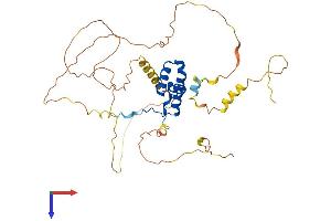 AlphaFold protein structure predicition of Human Recombinant SOX1 Protein, UniprotID O00570