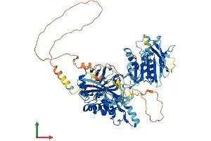 AlphaFold protein structure predicition of Human Recombinant HLCS Protein, UniprotID P50747