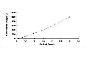 Fibroblast Growth Factor 23 (FGF23) ELISA Kit