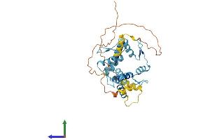 AlphaFold protein structure predicition of Human Recombinant ZSCAN16 Protein, UniprotID Q9H4T2