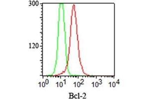 FACS staining (intracellular) of Jurkat cells using Bcl-2 antibody (clone 124, red) and isotype control antibody (green). (Bcl-2 anticorps  (AA 41-54))