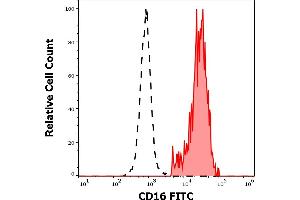 Separation of human CD16 positive CD3 negative lymphocytes (red-filled) from CD16 negative CD3 positive lymphocytes (black-dashed) in flow cytometry analysis (surface staining) of human peripheral whole blood stained using anti-human CD16 (3G8) FITC antibody (4 μL reagent / 100 μL of peripheral whole blood). (CD16 anticorps  (FITC))