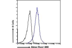 (ABIN7505816) Flow cytometric analysis of paraformaldehyde fixed HepG2 cells (blue line), permeabilized with 0.
