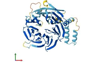 AlphaFold protein structure predicition of Human Recombinant DCAF4L1 Protein, UniprotID Q3SXM0