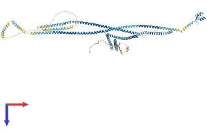 AlphaFold protein structure predicition of Mouse Recombinant Rnf20 Protein, UniprotID Q5DTM8