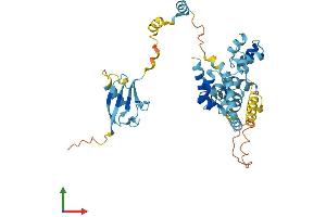 AlphaFold protein structure predicition of Mouse Recombinant Ubac1 Protein, UniprotID Q8VDI7
