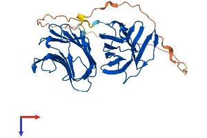 AlphaFold protein structure predicition of Human Recombinant LGALS9 Protein, UniprotID O00182