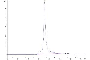 The purity of Mouse LY75/CD205 is greater than 95 % as determined by SEC-HPLC.