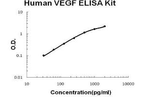 Human VEGF PicoKine ELISA Kit standard curve (VEGF Kit ELISA)