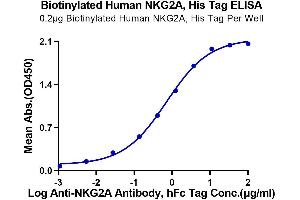 Immobilized Biotinylated Human NKG2A, His Tag at 2 μg/mL (100 μL/Well) on the plate.