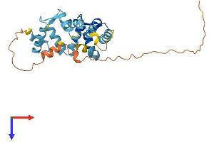 AlphaFold protein structure predicition of Human Recombinant KCNIP3 Protein, UniprotID Q9Y2W7