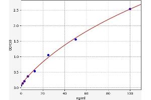Creatine Kinase, Muscle (CKM) ELISA Kit