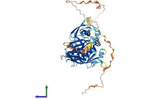 AlphaFold protein structure predicition of Human Recombinant GRB7 Protein, UniprotID Q14451