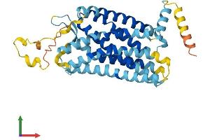 AlphaFold protein structure predicition of Mouse Recombinant Cxcr1 Protein, UniprotID Q810W6