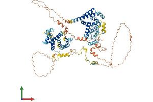 AlphaFold protein structure predicition of Human Recombinant LAS1L Protein, UniprotID Q9Y4W2