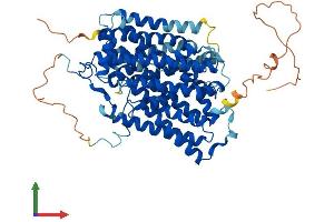AlphaFold protein structure predicition of Mouse Recombinant Slc5a5 Protein, UniprotID Q99PN0