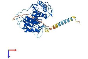 AlphaFold protein structure predicition of Human Recombinant ST3GAL2 Protein, UniprotID Q16842