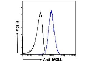 ABIN334436 Flow cytometric analysis of paraformaldehyde fixed A431 cells (blue line), permeabilized with 0.