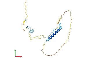 AlphaFold protein structure predicition of Human Recombinant SMAP Protein, UniprotID O00193