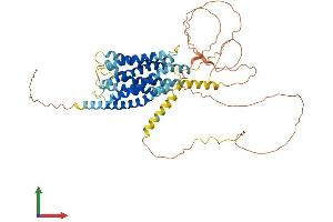 AlphaFold protein structure predicition of Human Recombinant GPR75 Protein, UniprotID O95800