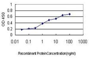 Detection limit for recombinant GST tagged NANS is approximately 0.
