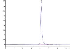 The purity of Cynomolgus TLR3 is greater than 95 % as determined by SEC-HPLC. (TLR3 Protein (AA 31-711) (His tag))
