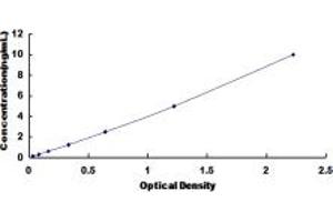 Typical standard curve (ODC1 Kit ELISA)