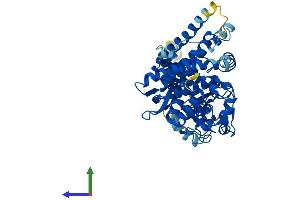 AlphaFold protein structure predicition of Human Recombinant CYP4Z1 Protein, UniprotID Q86W10