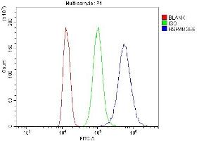 Flow Cytometry analysis of K562 cells using anti- Hsc70 antibody (ABIN7601962). (Hsc70 anticorps  (AA 520-614))