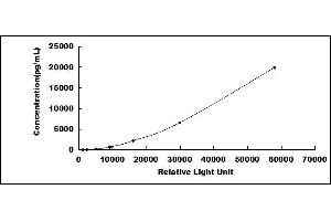 Typical standard curve