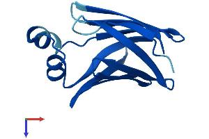 AlphaFold protein structure predicition of Human Recombinant FABP1 Protein, UniprotID P07148