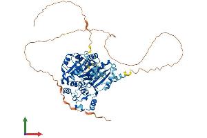 AlphaFold protein structure predicition of Human Recombinant DDX5 Protein, UniprotID P17844