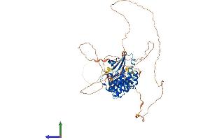 AlphaFold protein structure predicition of Human Recombinant MAK Protein, UniprotID P20794