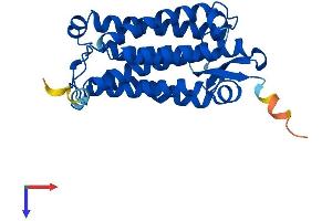 AlphaFold protein structure predicition of Human Recombinant ACER2 Protein, UniprotID Q5QJU3