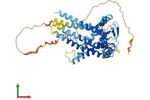 AlphaFold protein structure predicition of Mouse Recombinant Slc25a46 Protein, UniprotID Q9CQS4