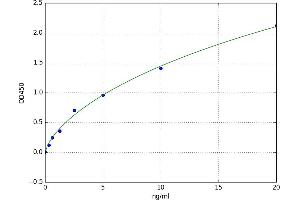 A typical standard curve